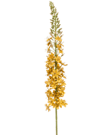 Kunstig Eremurus i Fløyel Sennepsgul M/ GullStilk 105cm