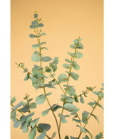 Kunstig Eucalyptus 96cm