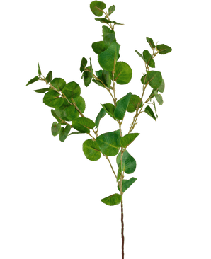 Kunstig Eucalyptus gren Grønn 70cm