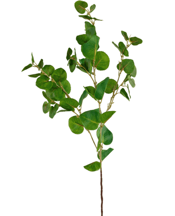 Kunstig Eucalyptus gren Grønn 70cm