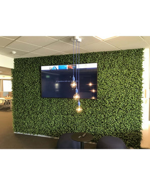Kunstig Plantevegg Eukalyptus 50x50 cm UV