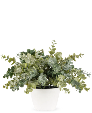 Kunstig Eukalyptus i Hvit Steinpotte 23cm