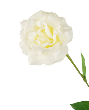 Kunstig Eustoma Real Touch Hvit 72cm