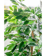 Kunstig Fat Fikus Brannsikker 150cm