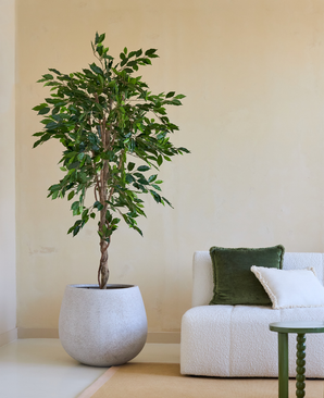 Kunstig Fat Fikus Brannsikker 180cm