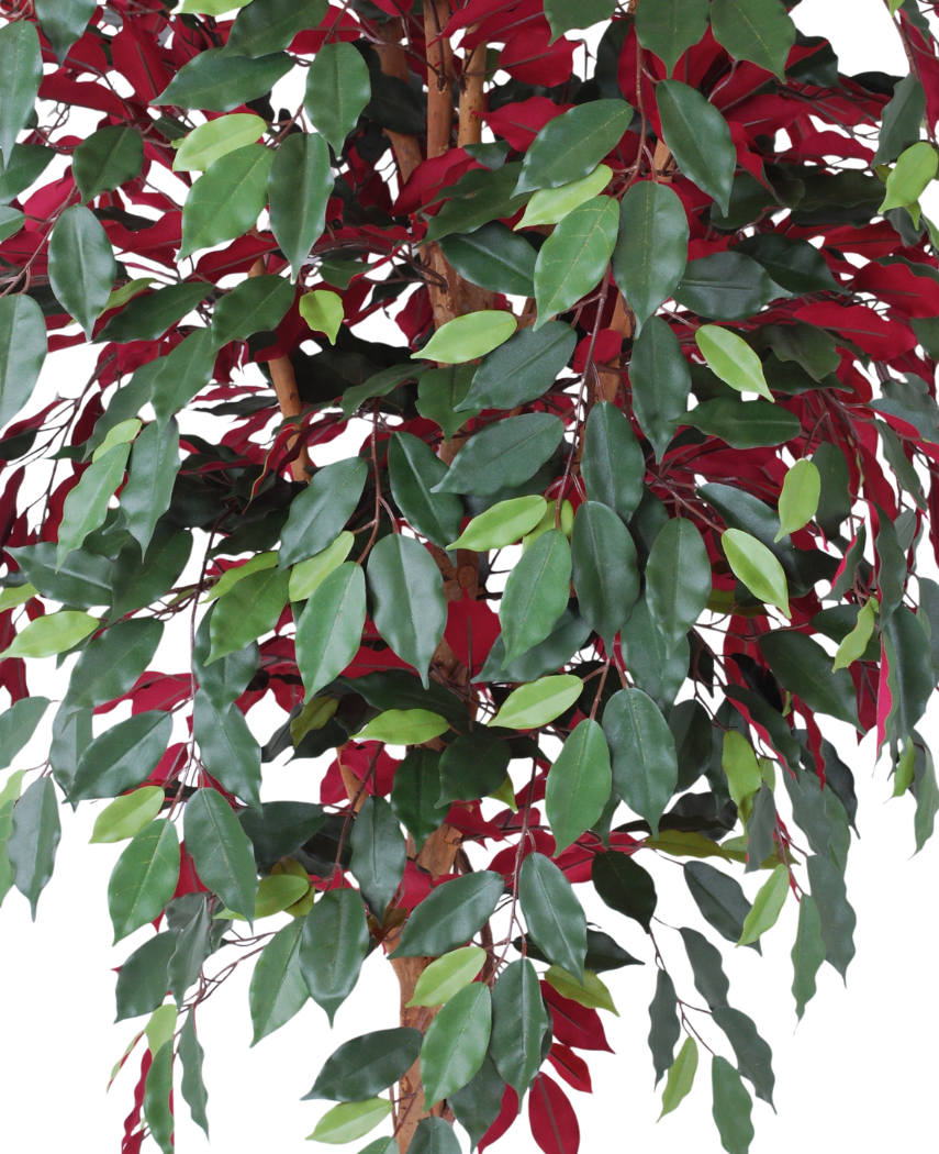 Kunstig Fat Fikus Burgunder Brannsikker 180cm