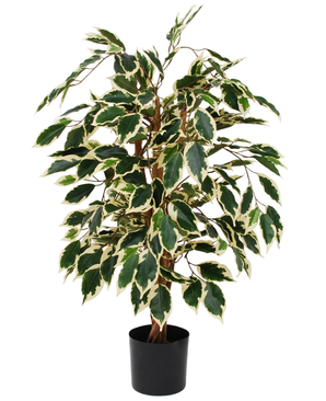 Kunstig Fat Fikus Grønnhvit 90cm