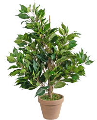 Kunstig Fikus Exotica i potte 60cm
