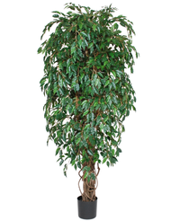 Kunstig Fikus Liana 180cm