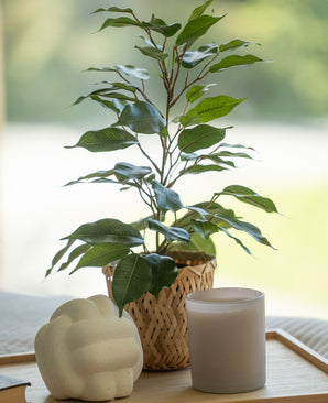 Kunstig Fikus i Potte UV 33cm