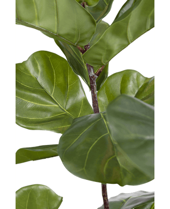 Kunstig Fiolinfiken Tre Deluxe 155cm