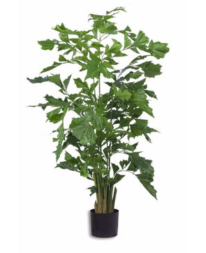 Kunstig Fishtail Palme 200cm