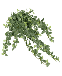 Kunstig Fittonia Miniblad Grønnhvit 90cm