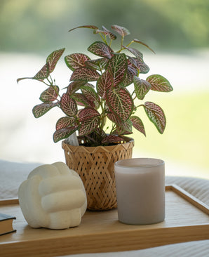 Kunstig Fittonia Rød i Potte UV 25cm