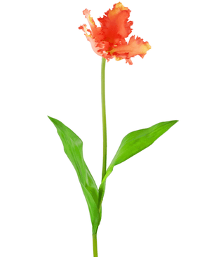 Kunstig blomst Fransk Parakeet Tulip 76 cm korall