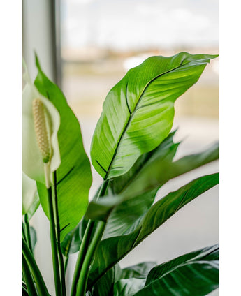 Kunstig Fredslilje Spathiphyllum 85cm