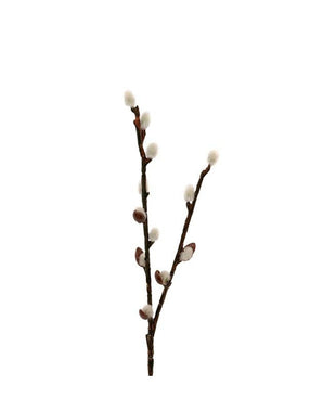 Kunstig Gåsunge Salix Gren 36 cm