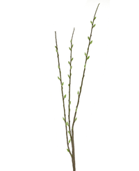 Kunstig Gåsunge Salix pil 70cm