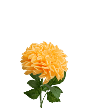 Kunstig Georgine Lotte Real Touch Fersken 72 cm
