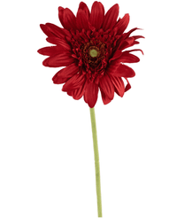 Kunstig Gerbera Rød 53cm