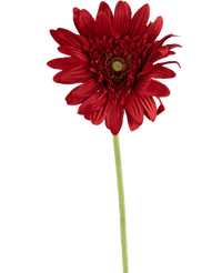 Kunstig Gerbera Rød 53cm