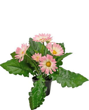 Kunstig Gerbera Rosa 28cm