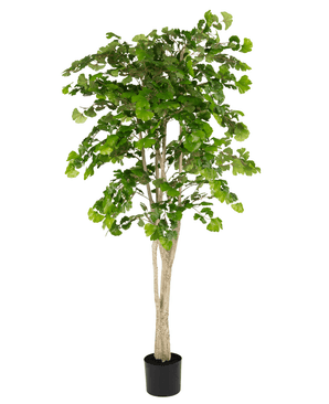 Kunstig Gingko Tempeltre 180cm