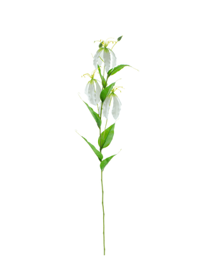 Kunstig Gloriosa Real Touch Hvit 75 cm