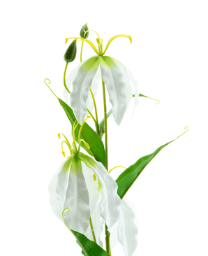 Kunstig Gloriosa Real Touch Hvit 75 cm