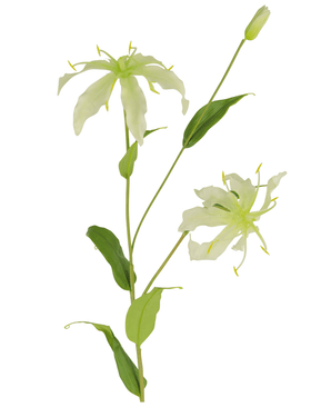 Kunstig Gloriosa Stilk Hvit 81cm