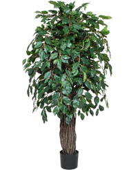 Kunstig Gråtende Fikus Benjamina 150cm