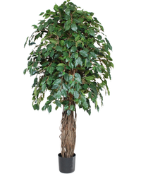 Kunstig Gråtende Fikus Benjamina 180cm