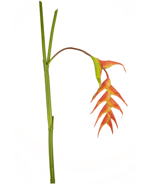 Kunstig Heliconia Blomst 120cm