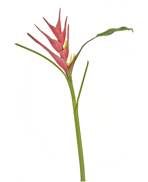 Kunstig Heliconia Blomst 90cm