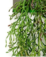 Kunstig Hengende Rhipsalis Vin 90cm