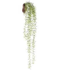 Kunstig Hengende Senecio 86cm