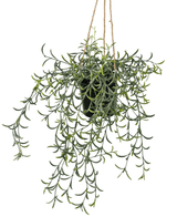 Kunstig hengende Senecio i potte 35cm