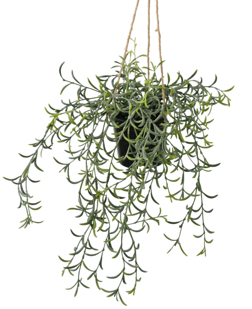 Kunstig hengende Senecio i potte 35cm