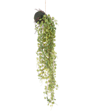 Kunstig Hengende Sukkulent på Løk 78cm
