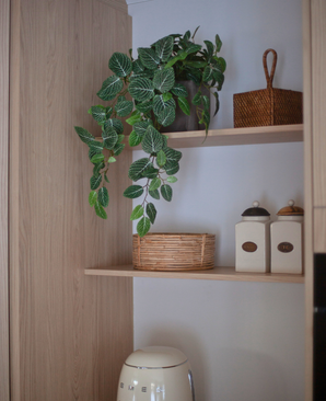 Kunstig Hengeplante Fittonia Grønnhvit i Potte UV 60cm