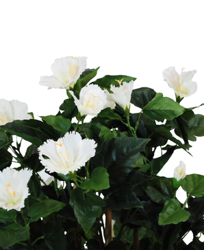 Kunstig Hibiskus Tre Hvit 120cm