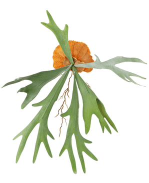 Kunstig Hjortebregne Stilk 53cm