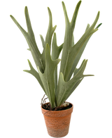 Kunstig Hjortebregne i Potte 43cm