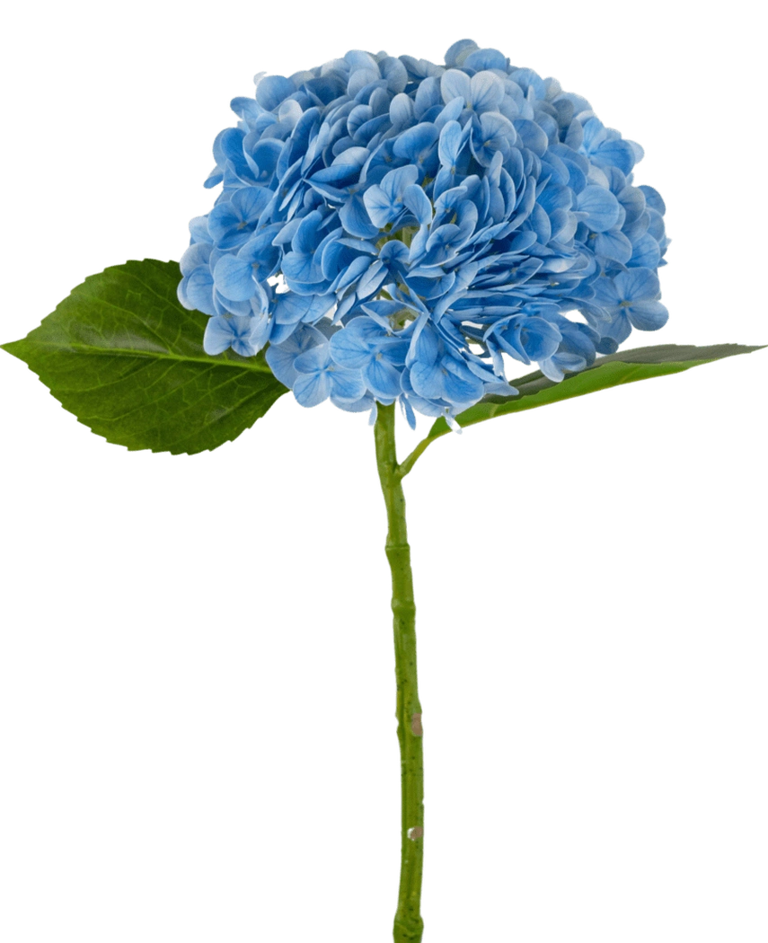 Kunstig Hortensia "Annabelle" Real Touch Blå 55cm