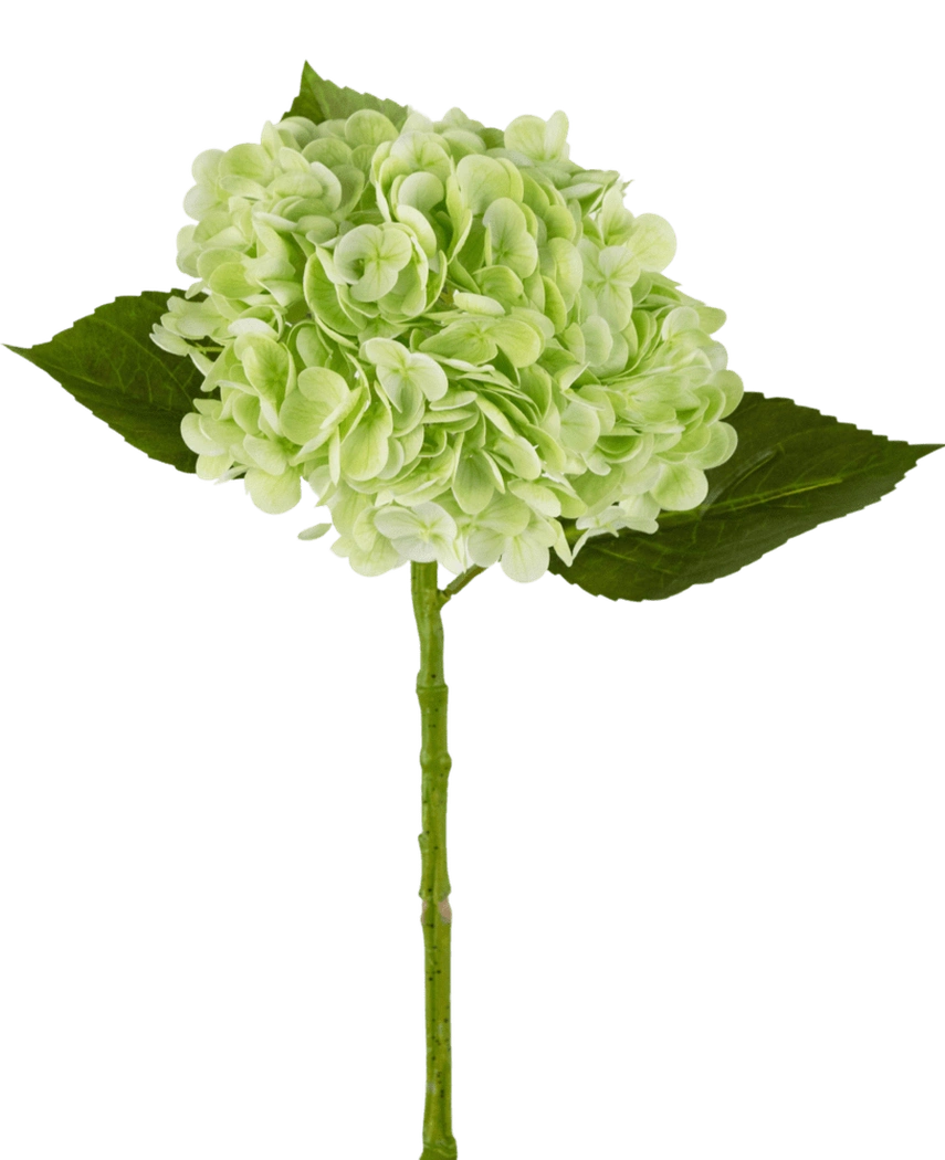 Kunstig Hortensia "Annabelle" Real Touch Grønn 55cm