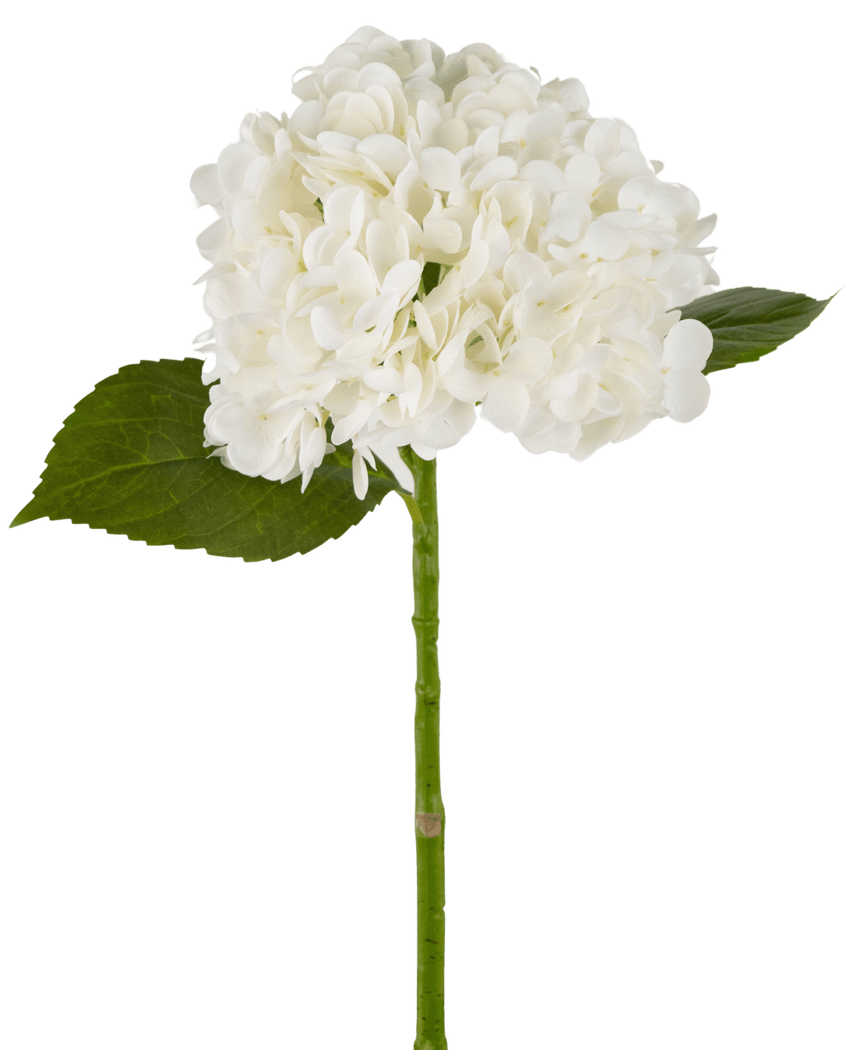 Kunstig Hortensia "Annabelle" Real Touch Hvit 55cm