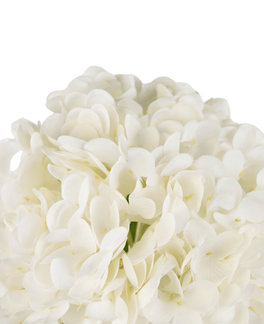Kunstig Hortensia "Annabelle" Real Touch Hvit 55cm