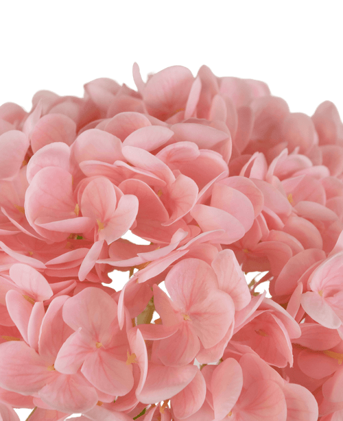 Kunstig Hortensia "Annabelle" Real Touch Rosa 55cm