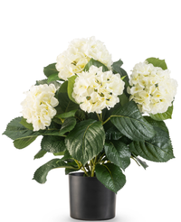 Kunstig Hortensia Deluxe Kremhvit UV 43 cm