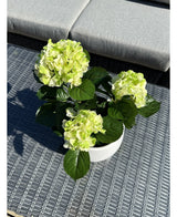 Kunstig Hortensia Deluxe Kremhvit/Grønn UV 35cm